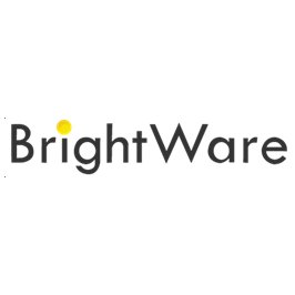 BrightWare L.L.C.