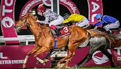 HH The Emir’s International Equestrian Sword Festival presented by Longines marks a successful culmination