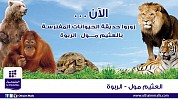 العثيم مول الربوة يقدم حديقة الحيوانات المفترسة