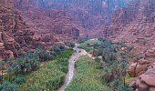 Wadi Al-Disah, in Saudi Arabia’s Tabuk region