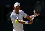 Djokovic reaches Wimbledon Final