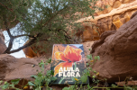 Assouline releases ‘AlUla Flora’, celebrating the ancient oasis destination’s vibrant blooms