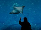 Abu Dhabi wins bid to host International Aquarium Congress in 2030