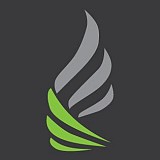 فالكون فالكون