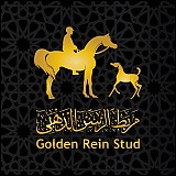 Golden Rein Stud