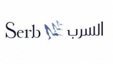 سرب الدولية سرب الدولية